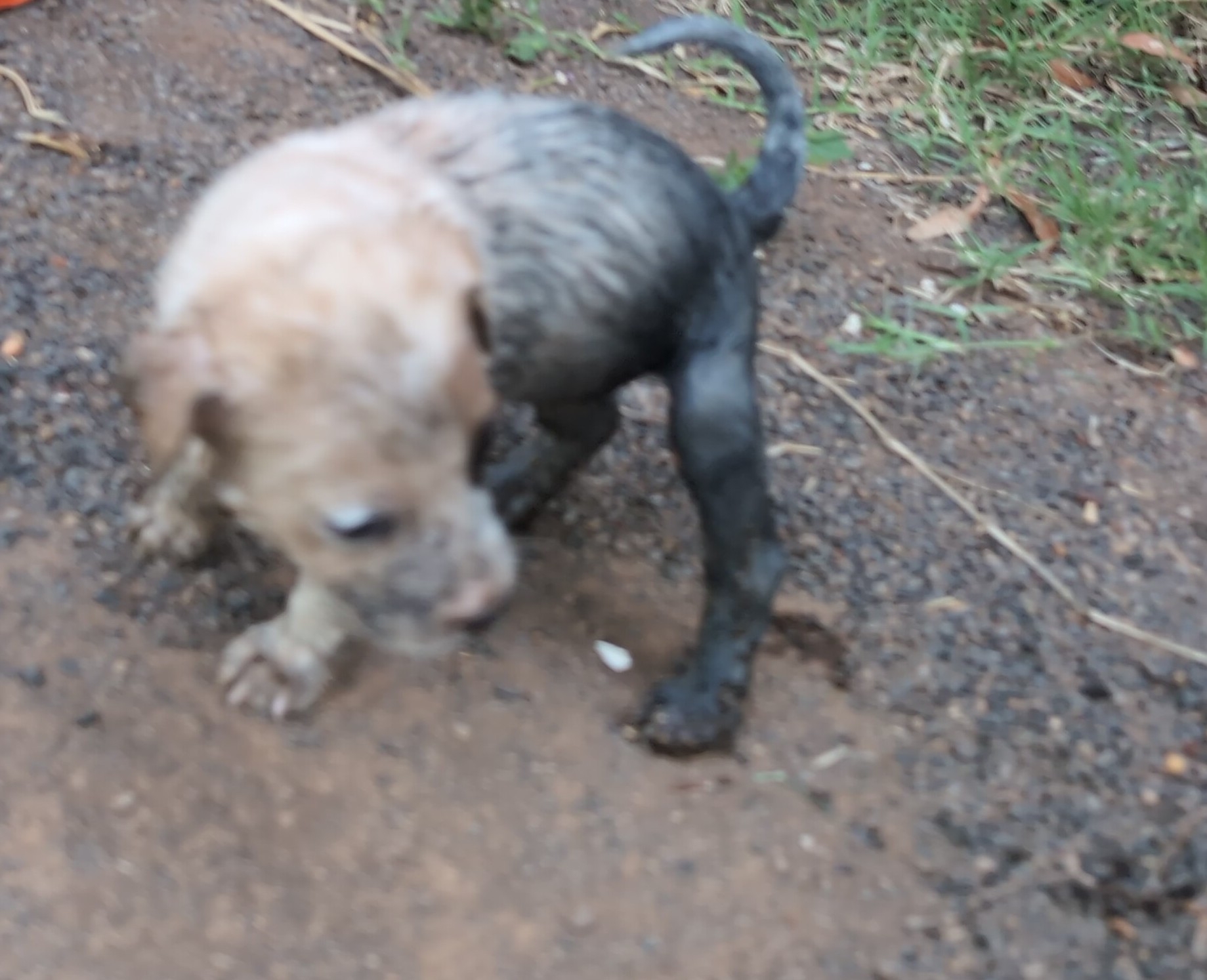 IMG_20251206_075943_1_1