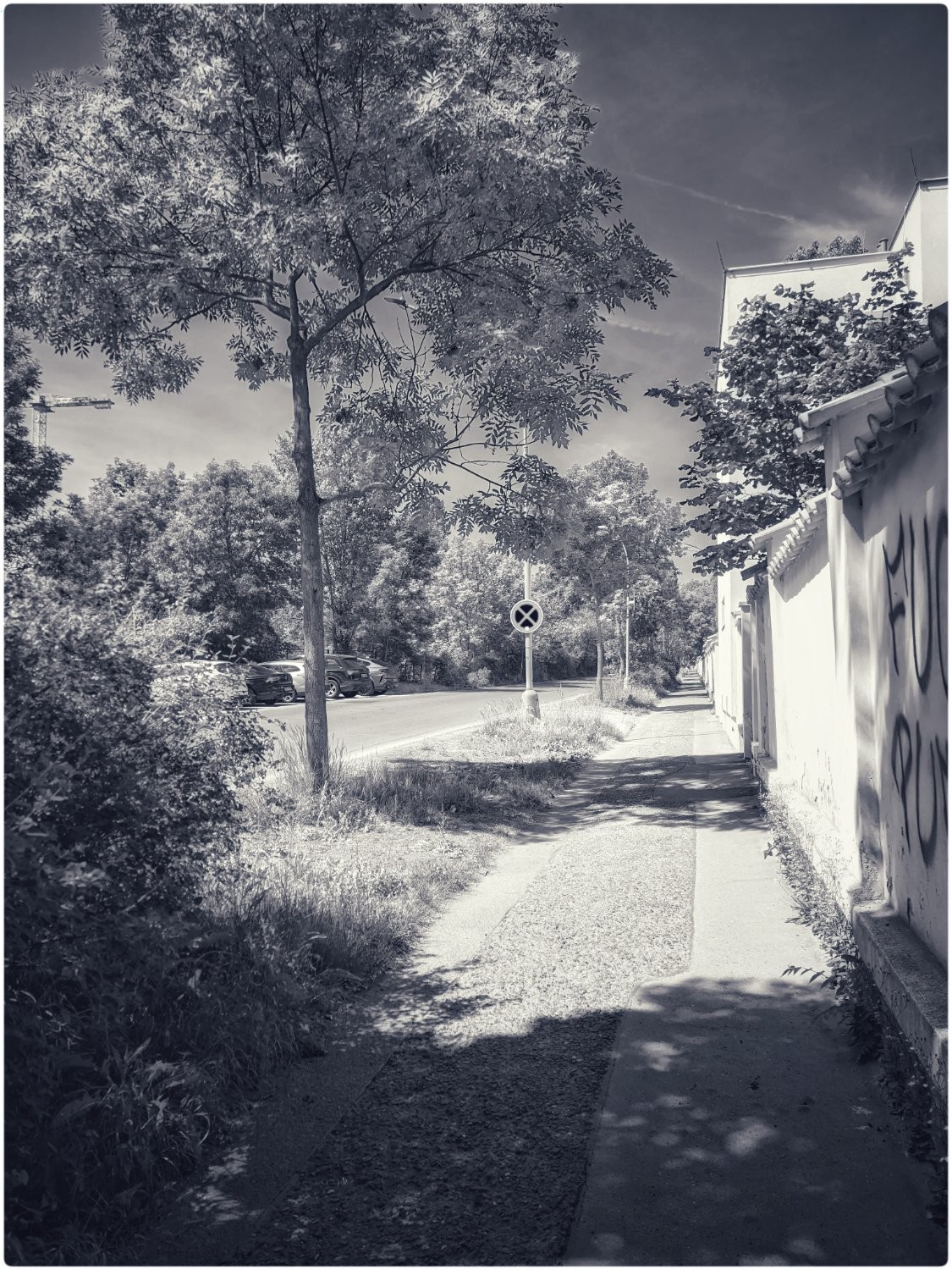 A path leads to a street with a no entry sign, a tree on the left, and a graffiti building on the right.